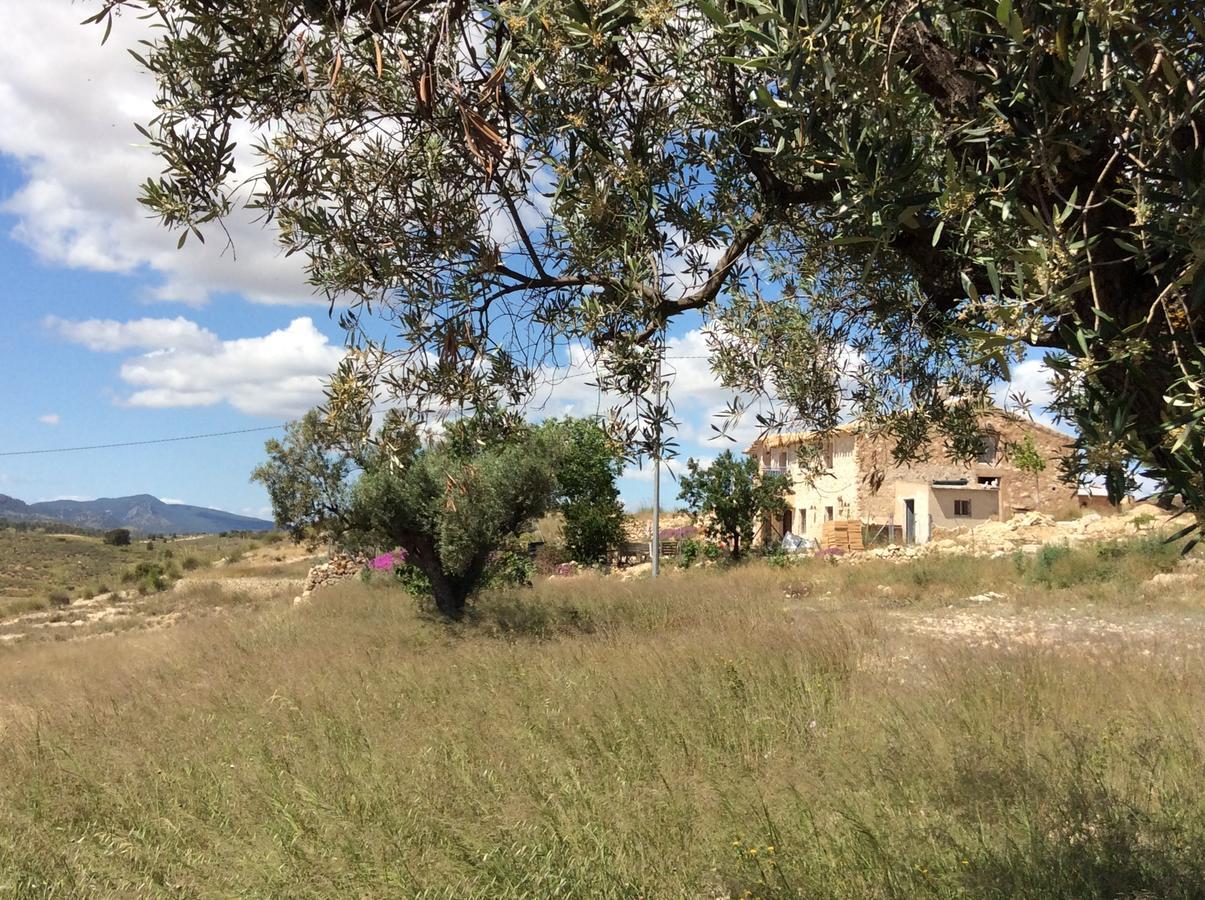 Los Cuatro Vientos B&B Torre del Rico Eksteriør billede